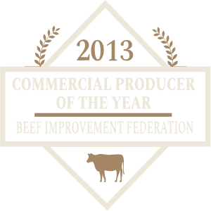 2013 Commercial Producer of the Year